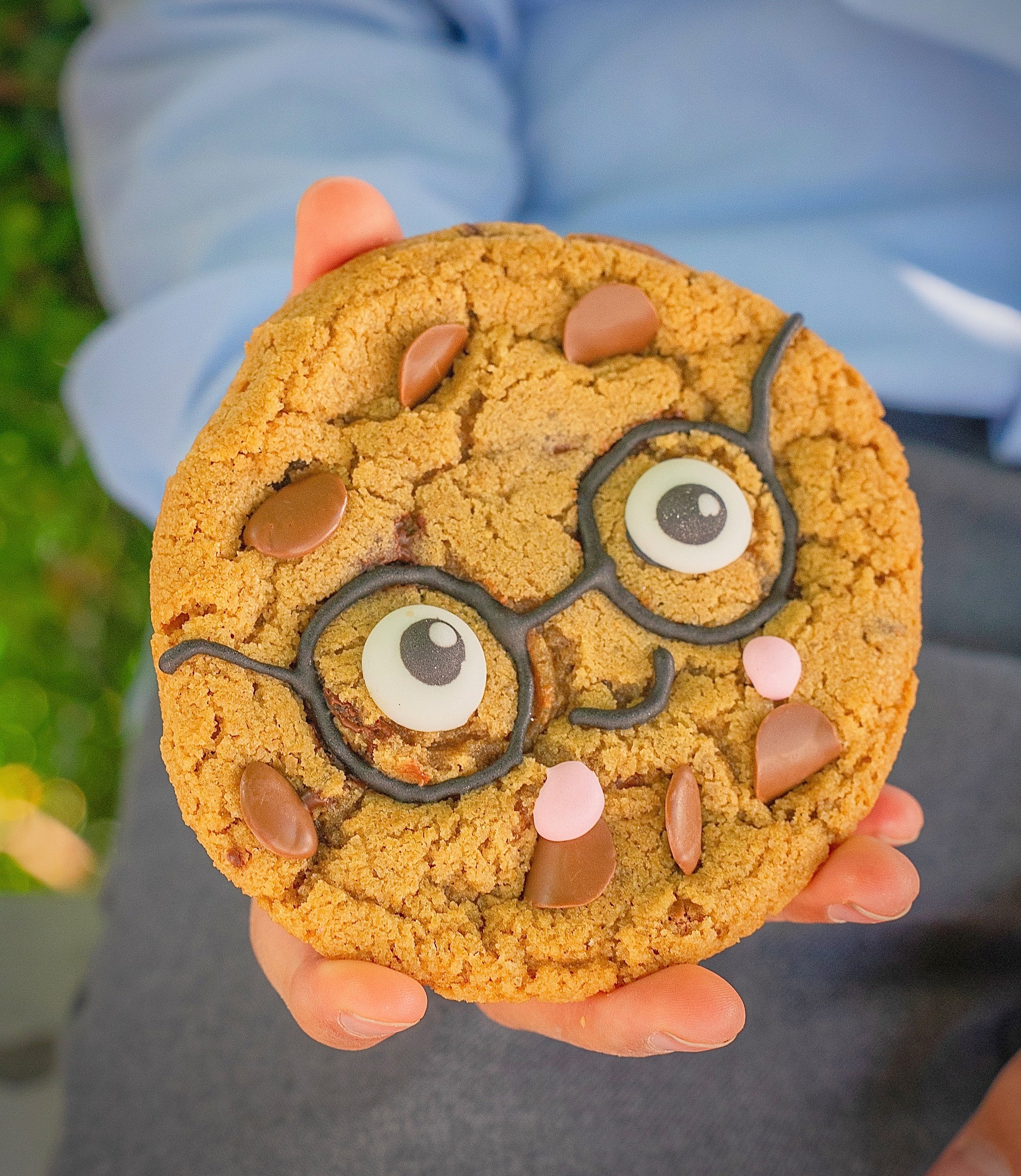 Vuelta a Clase galleton escolar