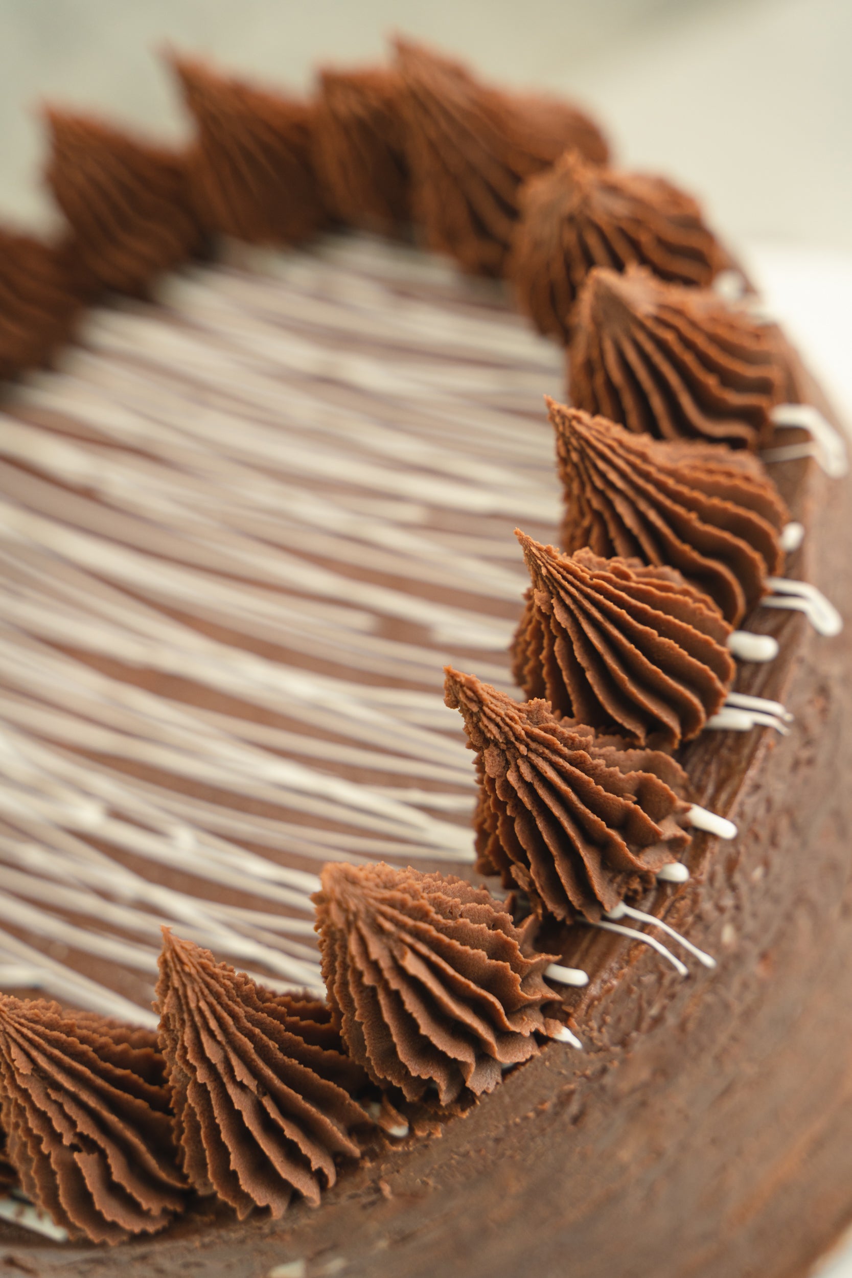 Torta chocolate y trufa con laminas de chocolate blanco